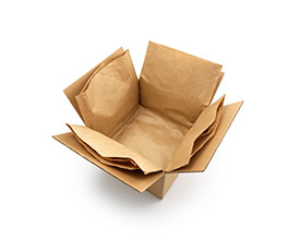 Cold-Chain-ClimaLiner-packing.jpg