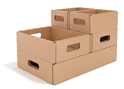 bild-1